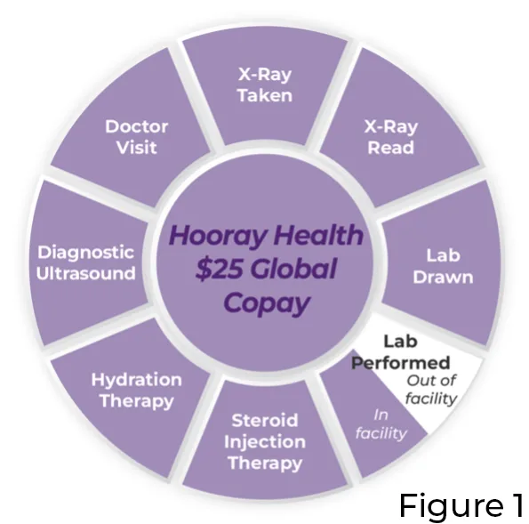 Hooray Health $25 Global Copay including: X-Ray taken, X-Ray read, Lab Drawn, Lab performed in facility is but out of facility is not, Steroid Injection Therapy, Hydration therapy, Diagnostic Ultra sound, Doctor Visit | Figure 1